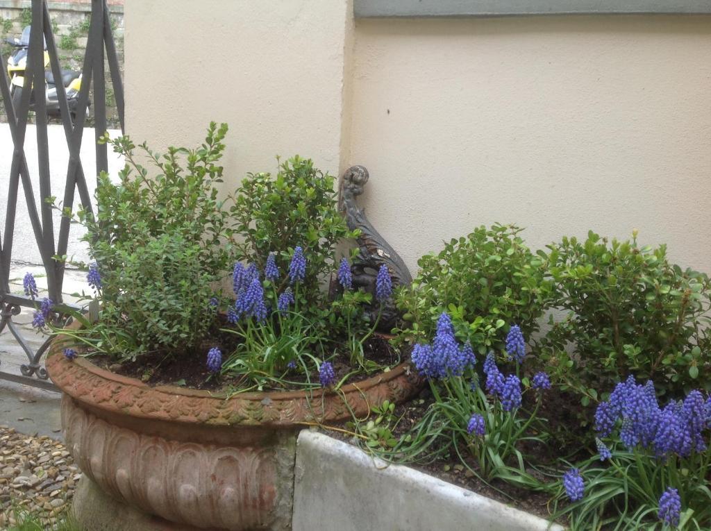 Al Giardino Delle Rose Ξενοδοχείο Φλωρεντία Εξωτερικό φωτογραφία